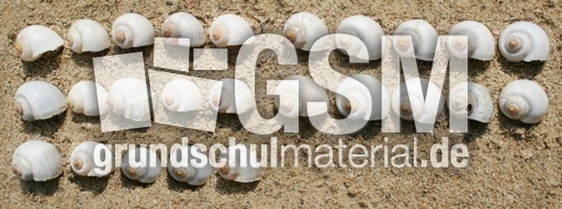 Schneckenhäuser-25.jpg